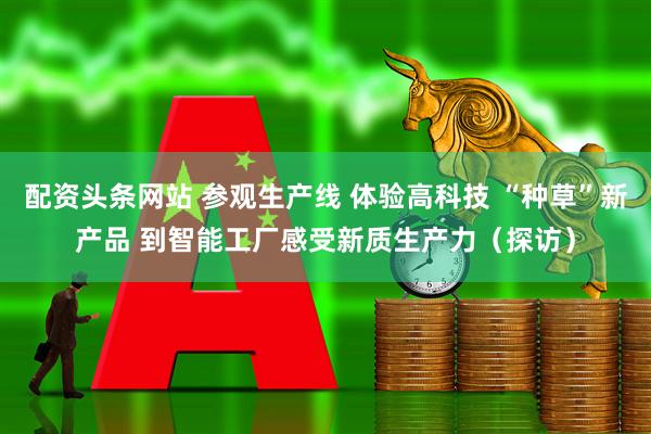 配资头条网站 参观生产线 体验高科技 “种草”新产品 到智能工厂感受新质生产力（探访）